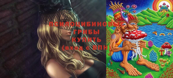эйфоретик Новодвинск