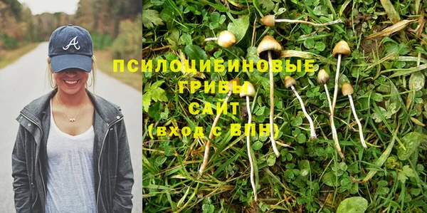 СК Нефтекумск