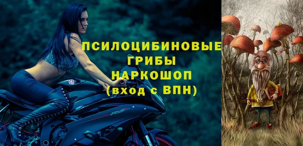 СК Нефтекумск