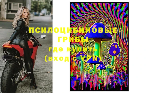 СК Нефтекумск